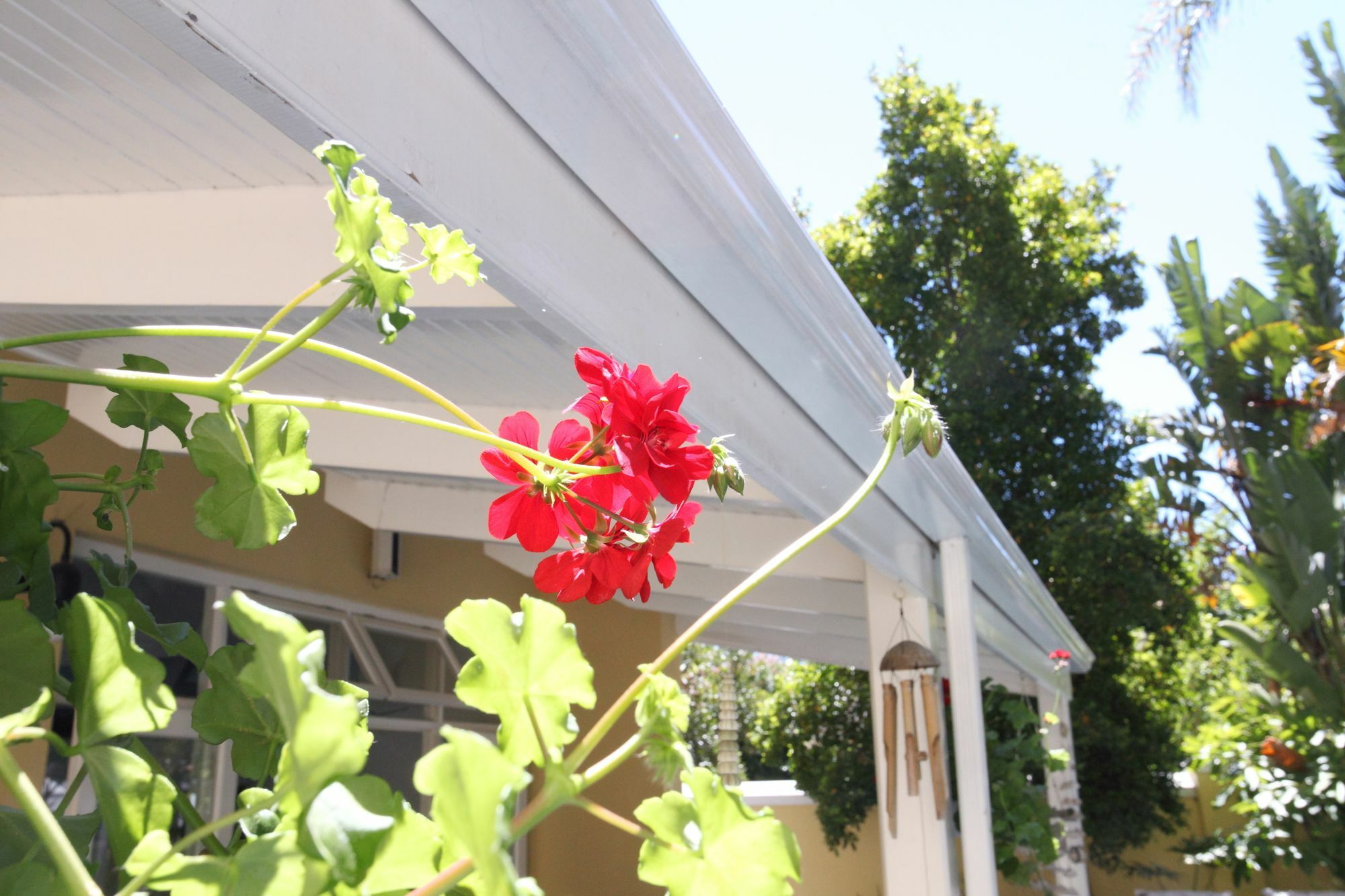 Hunneyball House Stellenbosch Exterior photo
